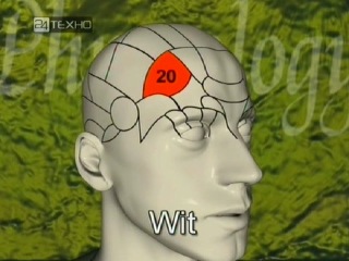 phrenology. mapping the mind